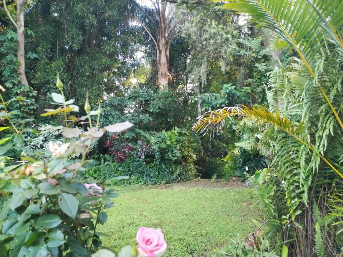 Beach Wood Cottages Shelly Beach Extérieur photo