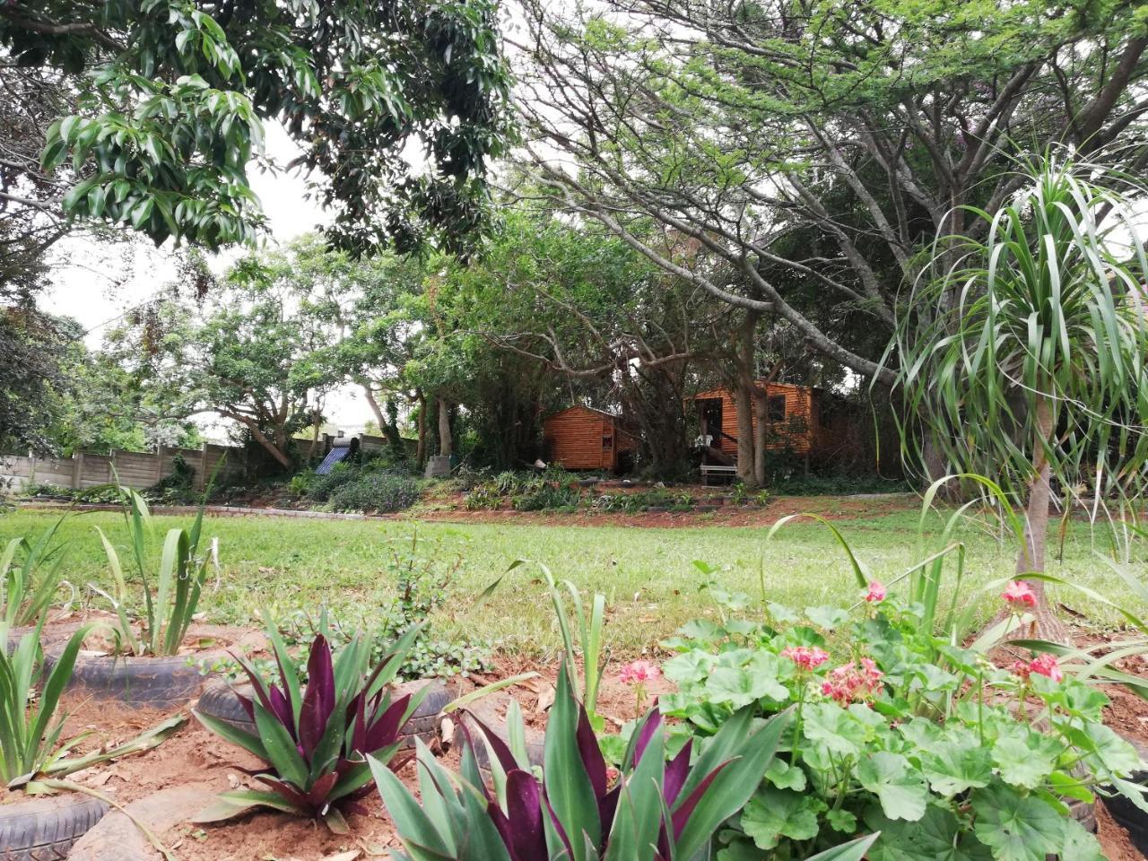 Beach Wood Cottages Shelly Beach Extérieur photo