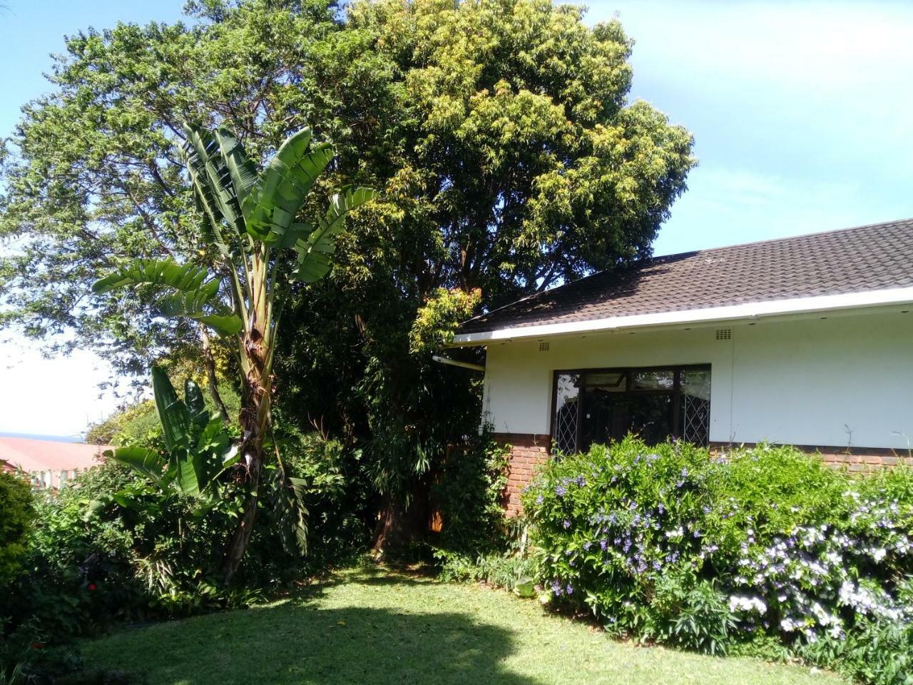 Beach Wood Cottages Shelly Beach Extérieur photo