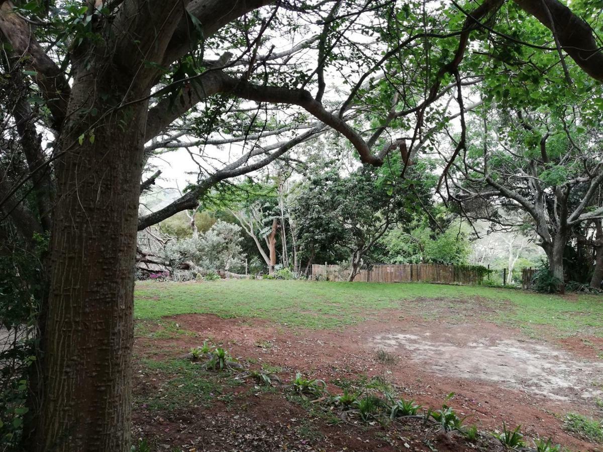 Beach Wood Cottages Shelly Beach Extérieur photo