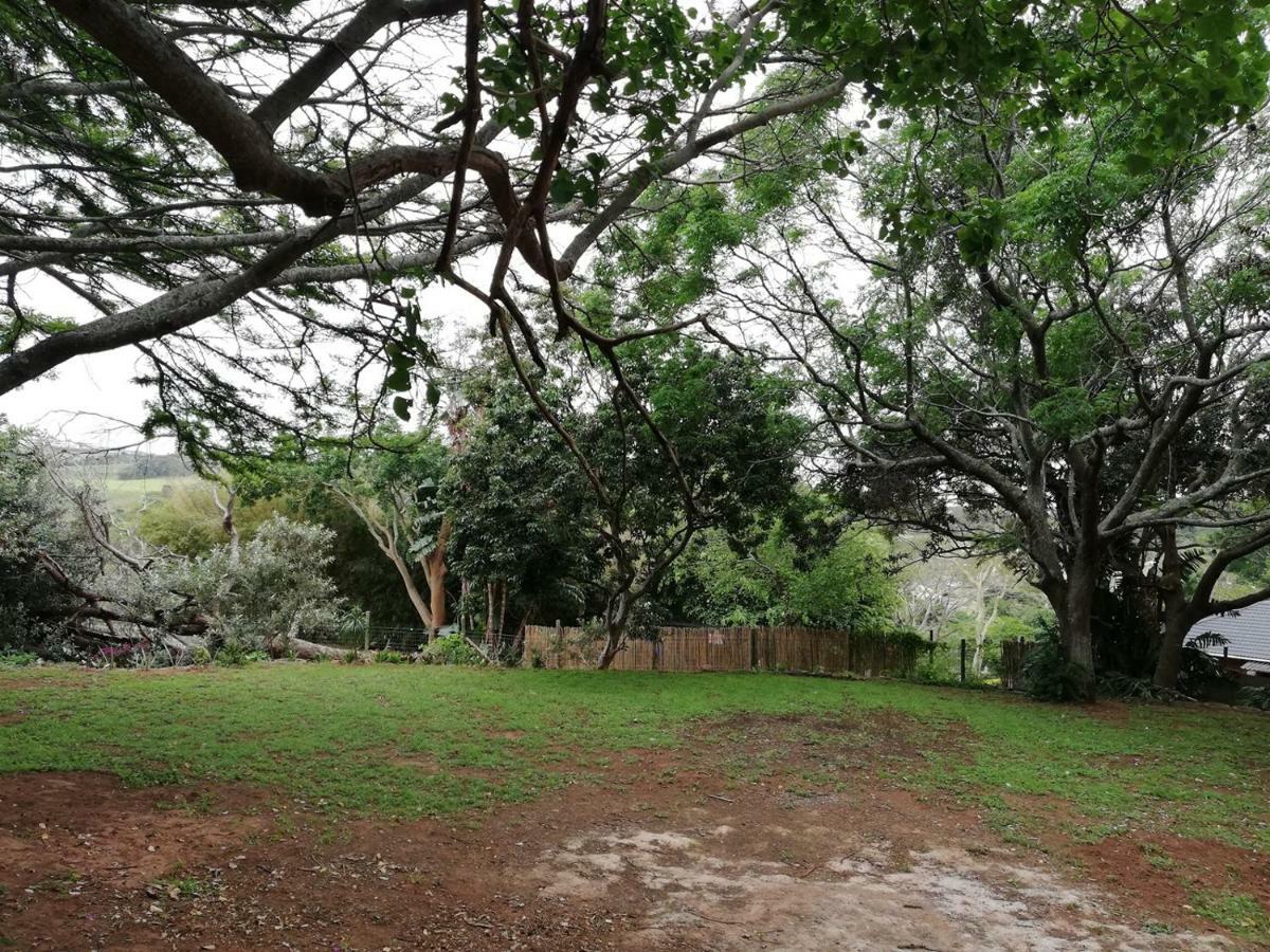 Beach Wood Cottages Shelly Beach Extérieur photo